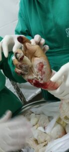 WhatsApp Image 2025-10-02 at 17.48.55 (1)